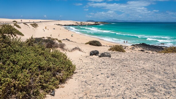 A coastal beach with clear skies, sandy terrain, and sparse vegetation.
