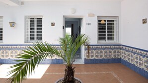 Un pasillo con una palmera, paredes de baldosas y una puerta que da a otra habitación.