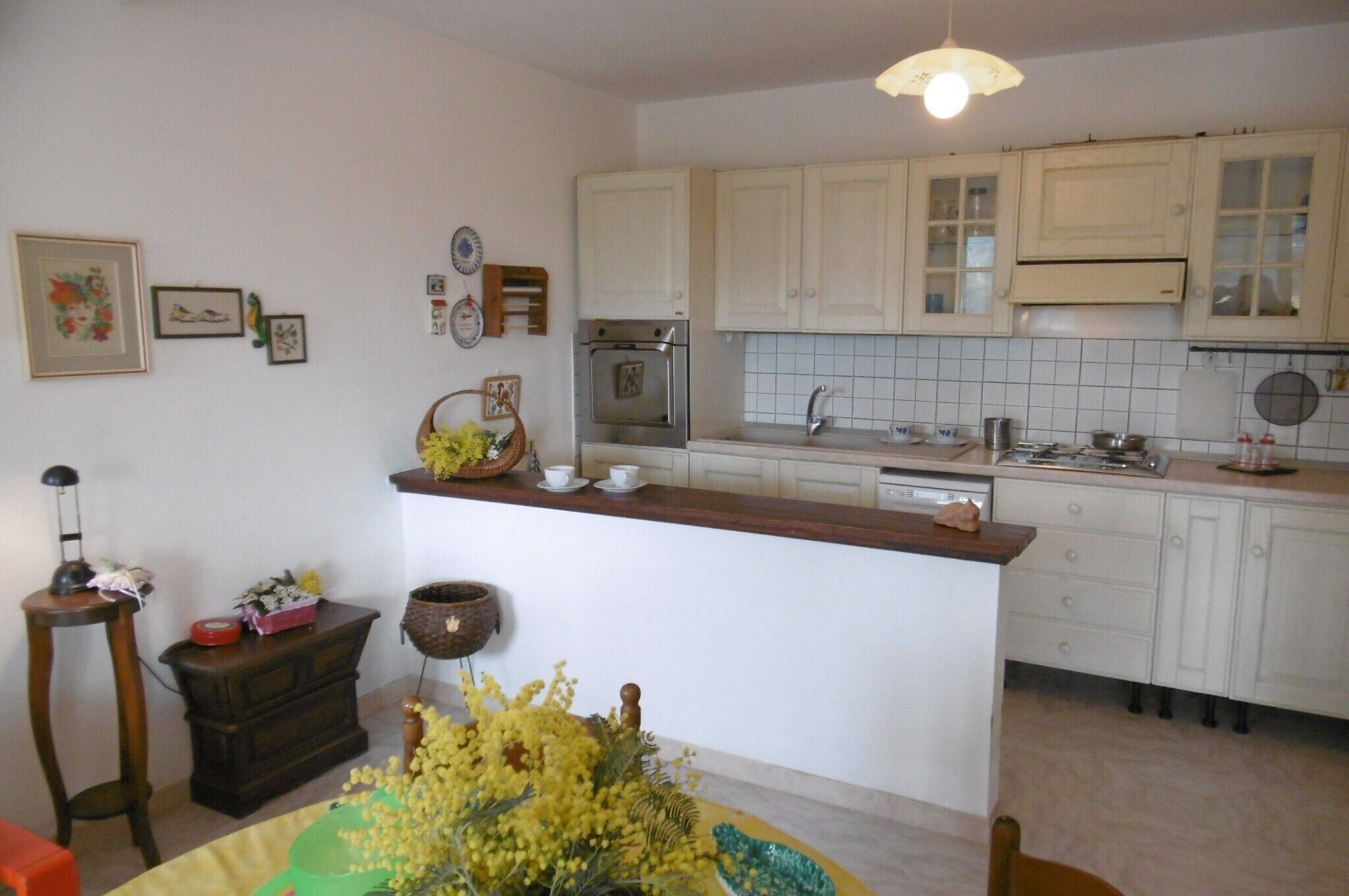 Fridge, oven, stovetop, cookware/dishes/utensils