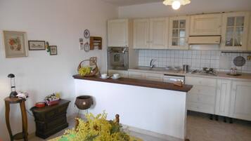 Fridge, oven, stovetop, cookware/dishes/utensils