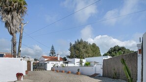 A residential area with a gravel driveway, white walls, a cactus, and potted plants.
