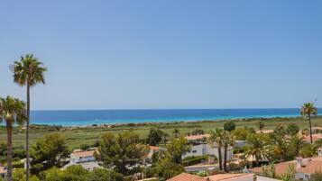 Zona residencial costera con casas, palmeras y vista al mar.