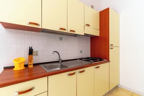 Fridge, stovetop, cookware/dishes/utensils