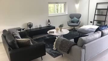 TV, fireplace, table football, ping pong