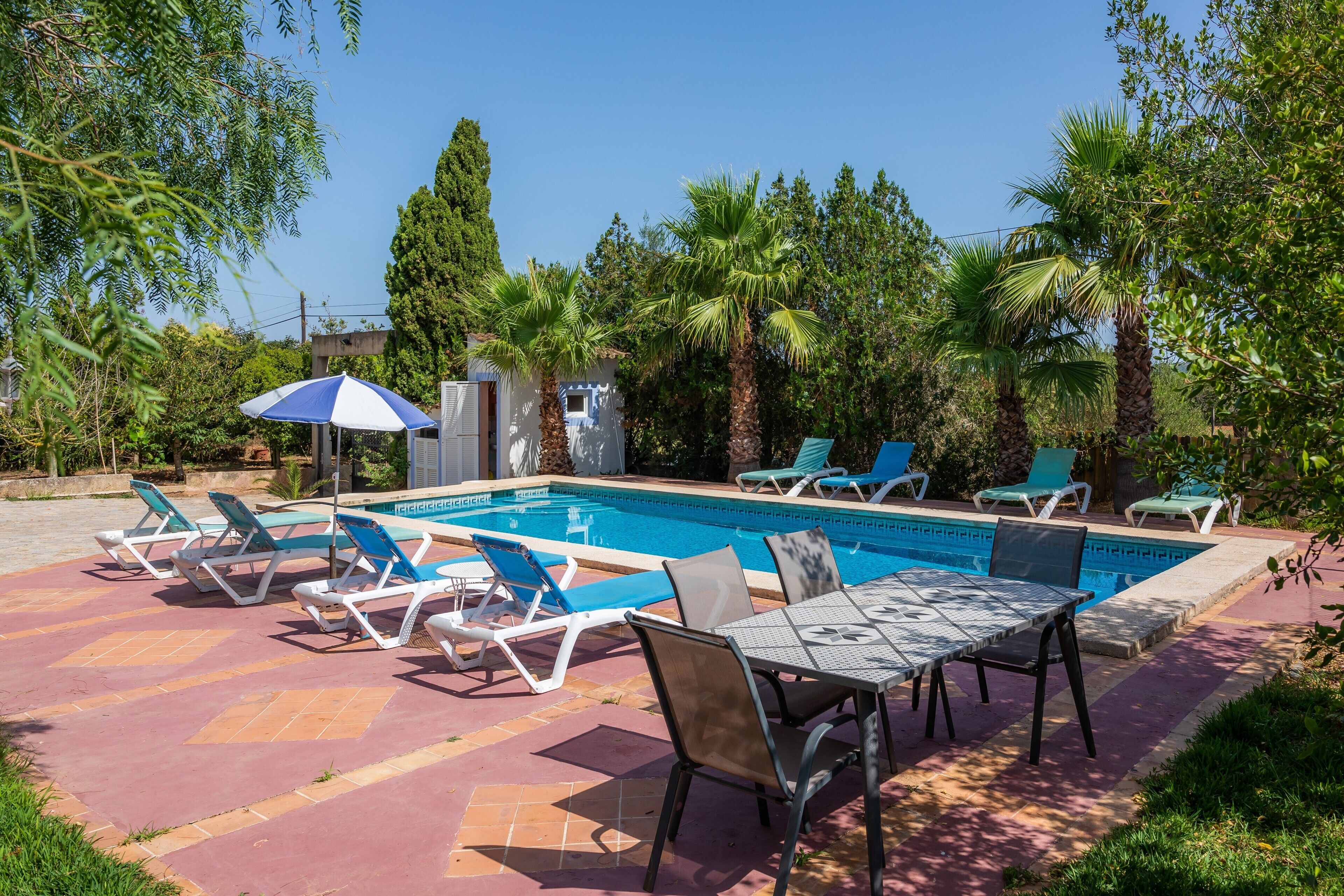 Zona de piscina con sillas de descanso y una mesa, rodeada de palmeras y follaje.