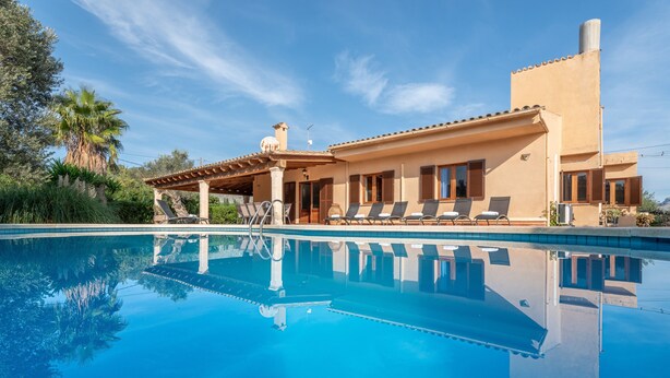 Blick auf einen Pool vor einer Villa im mediterranen Stil, mit klarem, blauem Wasser, Liegestühlen und einer Palme.