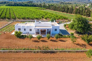Edifici modern blanc amb teulada plana, envoltat d'una vinya, i una carretera pavimentada que condueix a l'entrada.