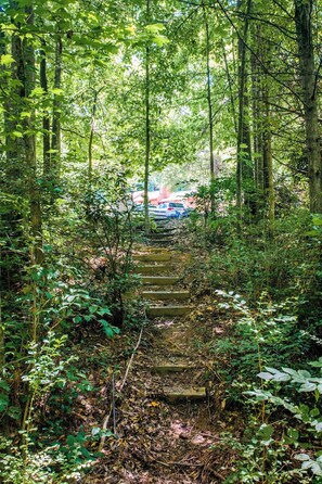 Ein bewaldetes Gebiet mit einer steilen Steintreppe, die nach oben führt.