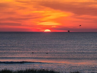 Beautiful Oceanfront Views! 4x4 beaches. See the Corolla wild horses! 2026 open!