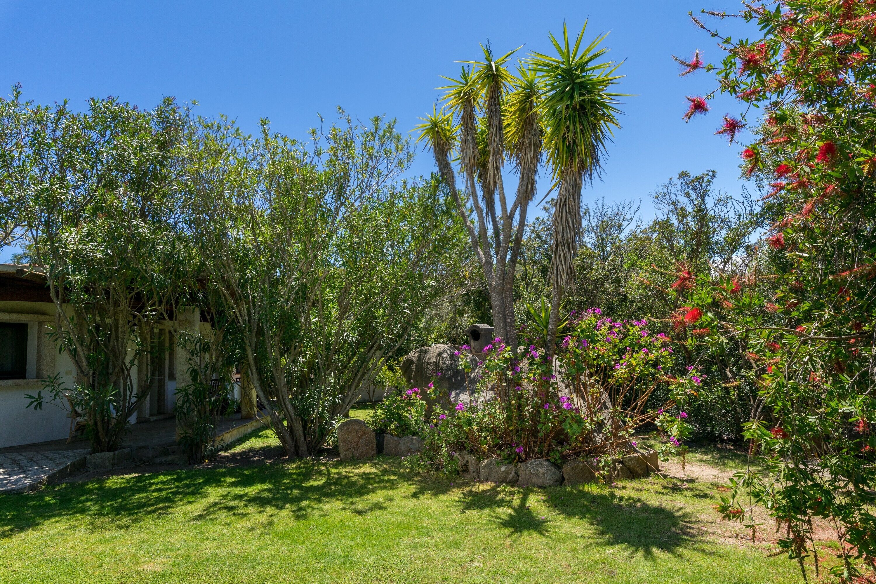 Un jardin avec différentes espèces de plantes et une structure en pierre.