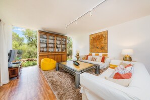 TV, fireplace, video-game console, DVD player