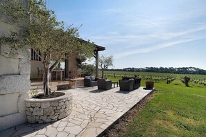 Une terrasse en pierre avec des meubles dâextĂ©rieur, un arbre et un vignoble en arriĂšre-plan.
