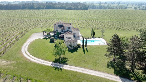 A large house with a swimming pool, surrounded by a vineyard. - La Maison – Spacious Country Home with Pool and Lush Garden (Villeneuve de Duras)