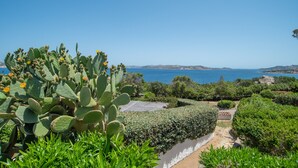 A coastal landscape with cacti, a hedge, and a clear view of the sea.