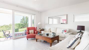 TV, fireplace, video game console, DVD player