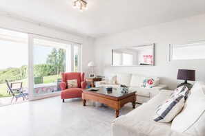 TV, fireplace, video game console, DVD player