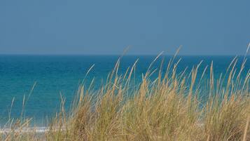 Playa en los alrededores