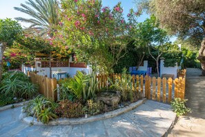 A garden with a wooden fence, a stone pathway, and various plants.