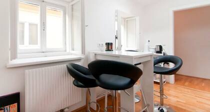 Leo's Roof Top Apartment near Town Hall