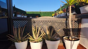 Potted plants on a balcony with a lattice fence and a green wall in the background. - Apartment "Casa Orymar" with Ocean View, Mountain View, Balcony & Terrace (El Cotillo)