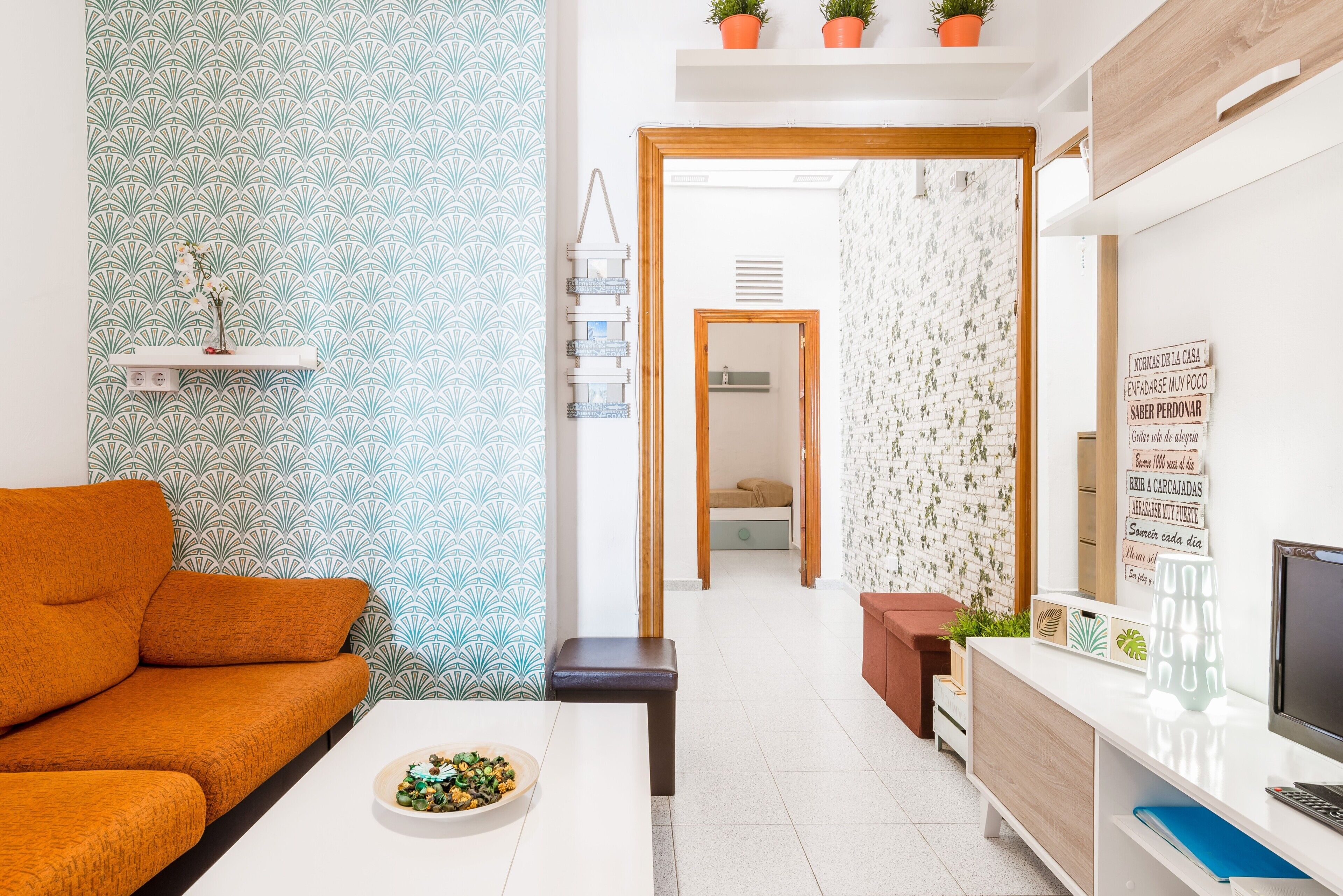 Télévision, lecteur de DVD