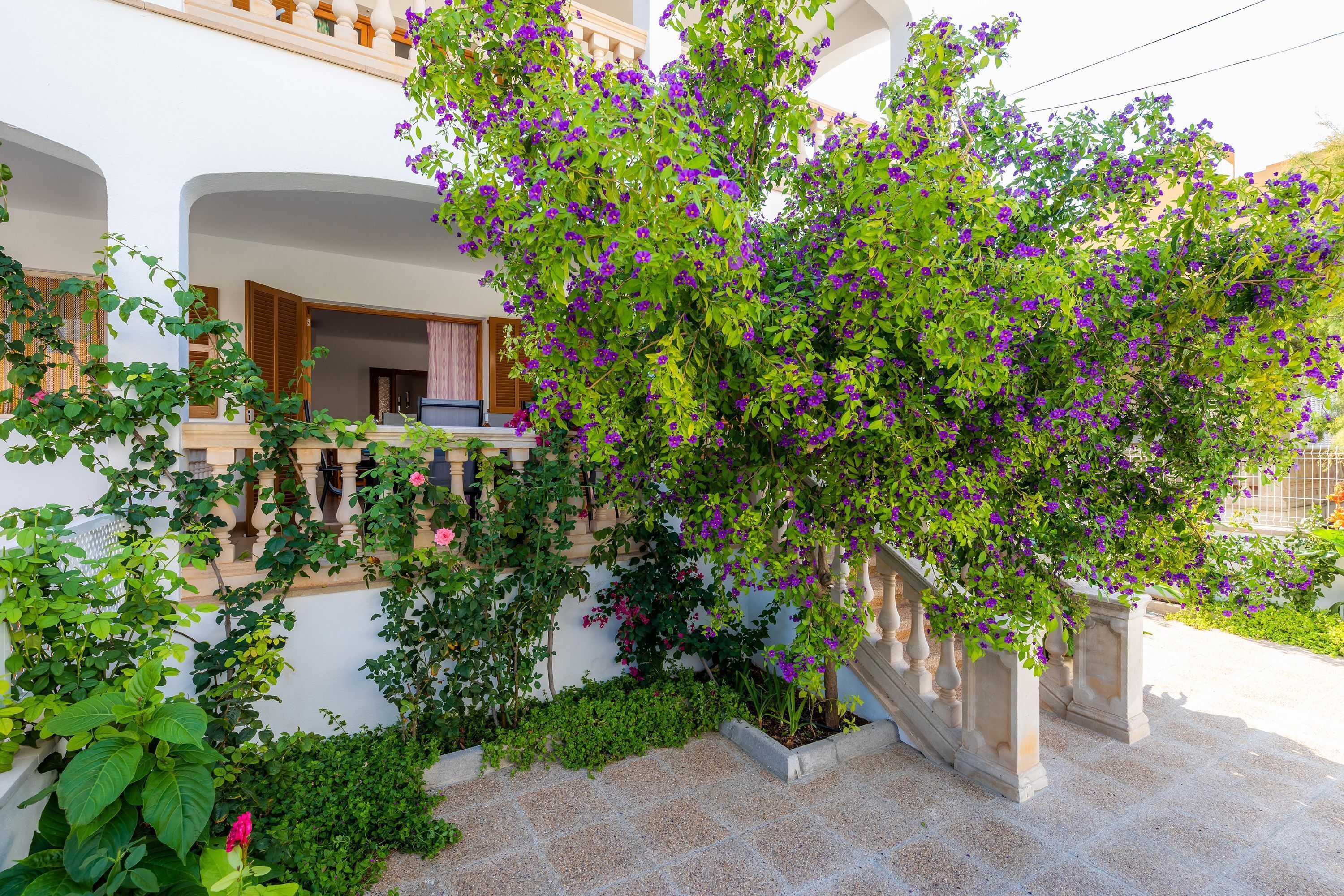 Jardines del alojamiento