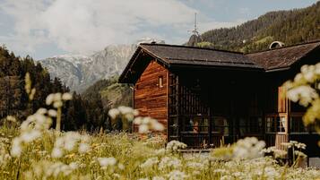 Aussenbereich