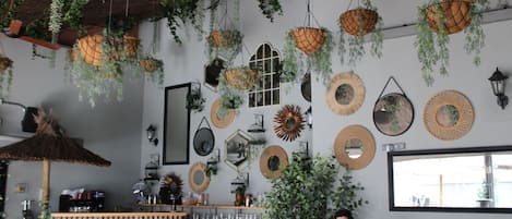 A cafe with hanging plants, a bar area, and a person working on a laptop.