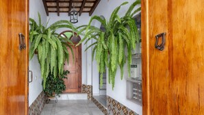 Un corridoio con una porta in legno, piastrelle decorate e felci pendenti.
