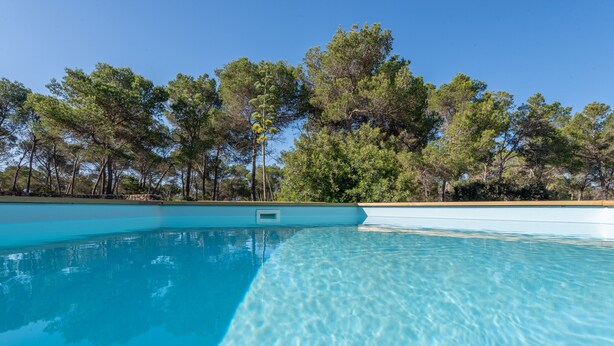 A clear swimming pool with a stone edge, surrounded by trees and a clear sky.