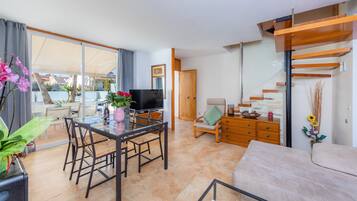 TV, fireplace, DVD player