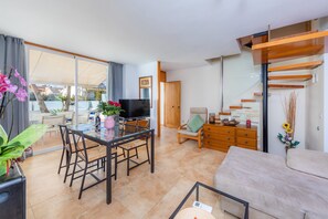 TV, fireplace, DVD player