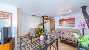 TV, fireplace, DVD player