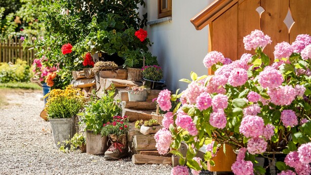 A garden with various potted plants and flowers in front of a building. - Holiday Apartment “Beim Paulfischer - Eckbankerl” Close to Chiemsee with Balcony & Terrace (Chieming)