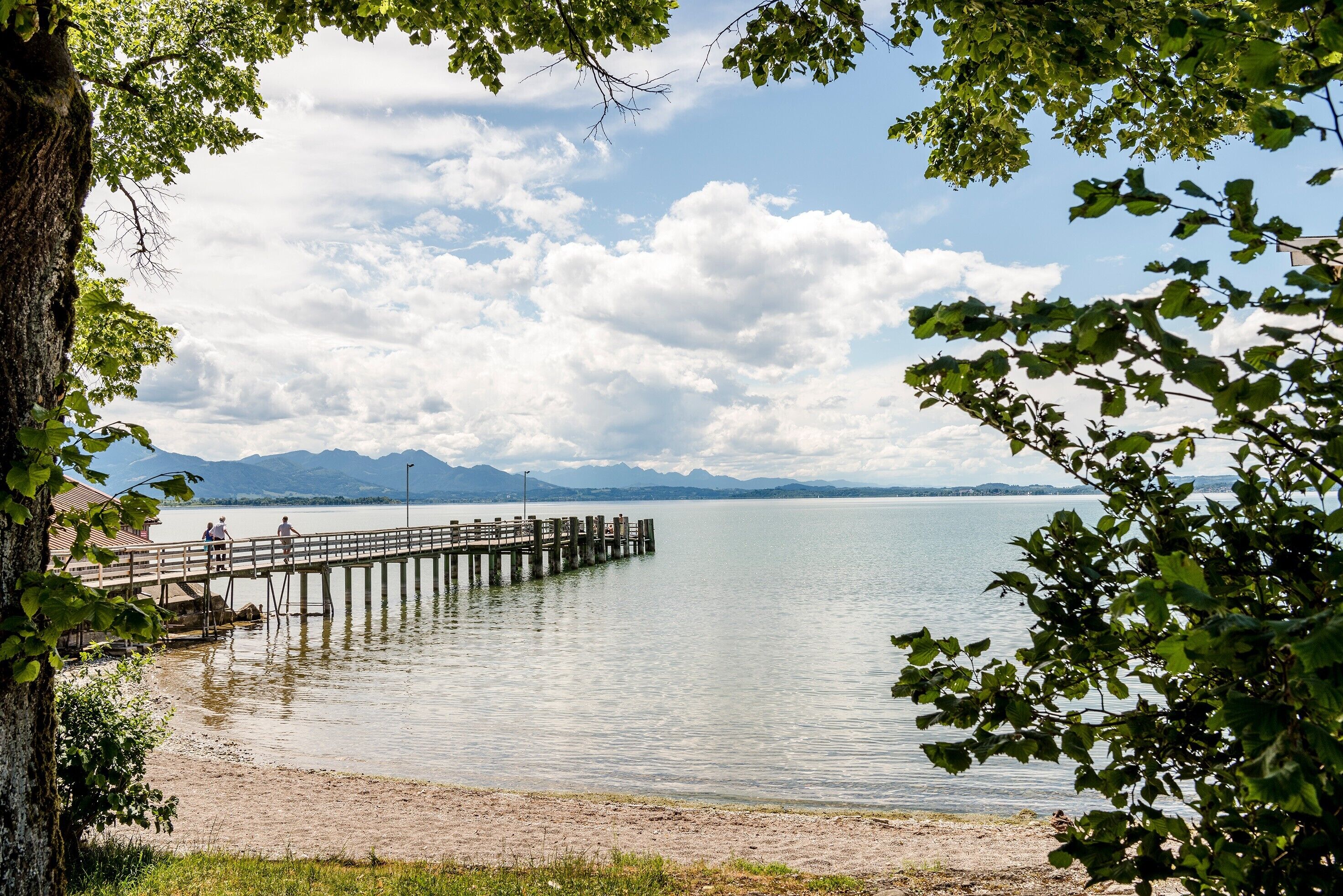 Ein See mit einem hölzernen Steg, der sich ins Wasser erstreckt, umgeben von Bäumen und Bergen im Hintergrund.
