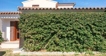 Relaxation outside Monte Petrosu - Bol 2