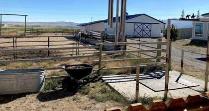 Heart Strings Ranch- Nestled on the Eastern flanks of Heart Mountain, near horses!