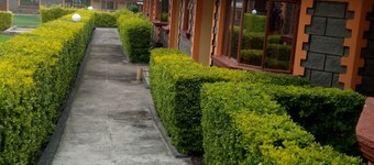 Petluck Resort Naivasha