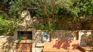Un muro de piedra con un horno integrado, una planta en maceta y una manguera enrollada a su lado.