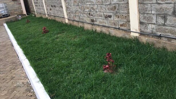 A paved walkway adjacent to a stone wall with a metal fence. - The Loop Guest House and Restaurant (Eldoret)