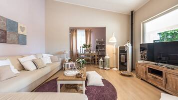 Televisie en een open haard