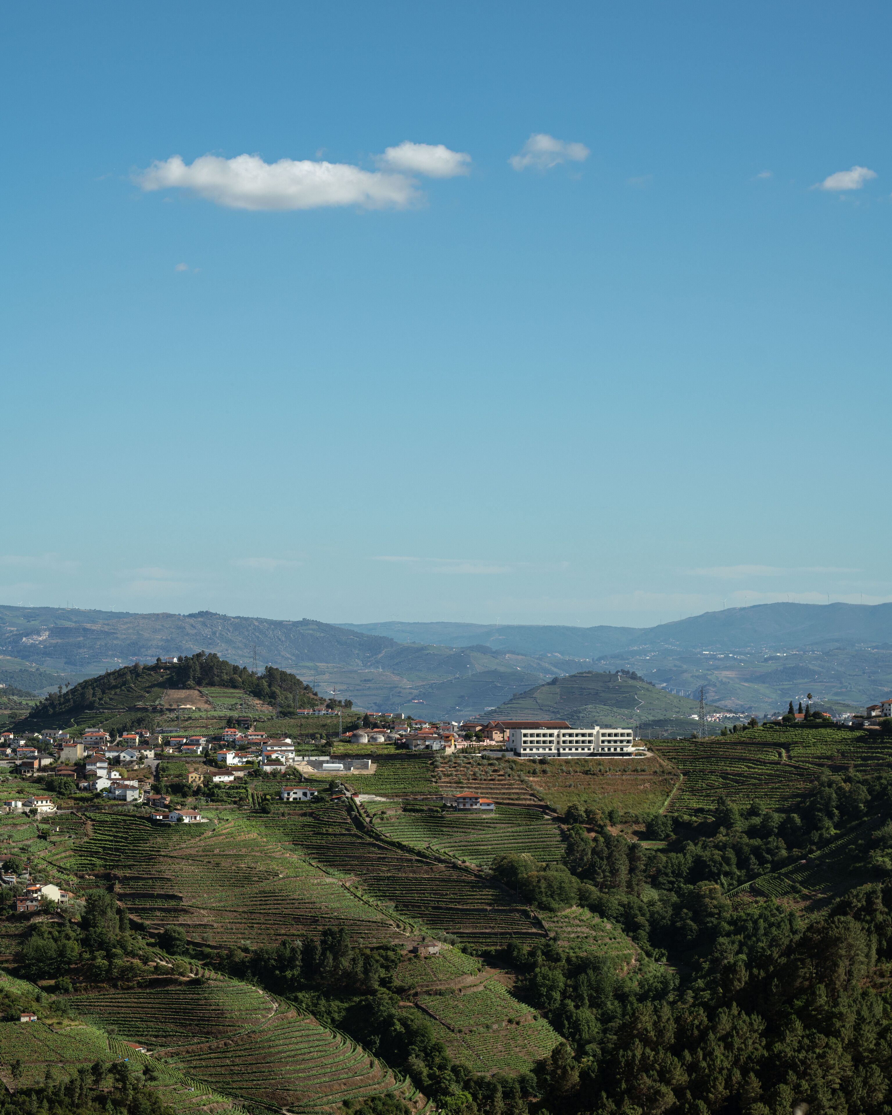A rural landscape with terraced vineyards, a small village, and a prominent white building with a red roof.