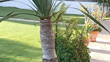 Área da propriedade