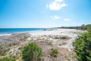 Una playa con cielos despejados, una orilla arenosa y vegetación escasa.