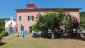 A pink building with a small bell tower, a tree in front, and a ladder.
