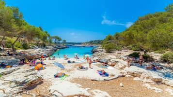Una spiaggia nelle vicinanze