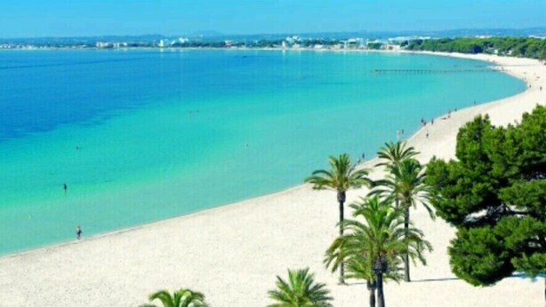 A beach with clear turquoise water, white sand, and palm trees. - In a Peaceful Location with Garden – Villa Can Ferrer (Alcudia)