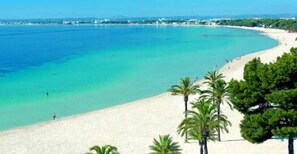Ein Strand mit klarem türkisblauem Wasser, weißem Sand und Palmen.