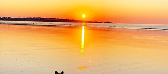 Steps from Longsands! Dog-Friendly, Family Beach House With Oceanfront Views!