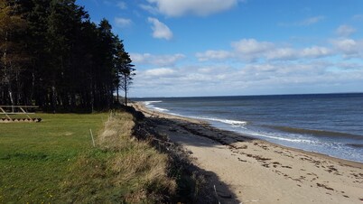 Beach Front Cottage, warmest waters north of the Carolinas
